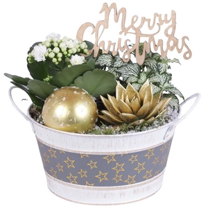 Christmas Arr. Indoor Zinc Pot Round Star Design Ø17cm 3PP