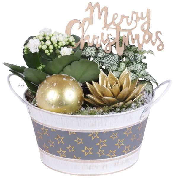 <h4>Christmas Arr. Indoor Zinc Pot Round Star Design Ø17cm 3PP</h4>