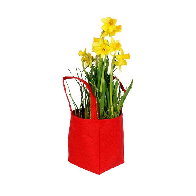 <h4>Bag Pastel felt 9.5x9xH11cm red 20/bag</h4>