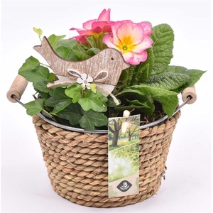 Touw met zink schaal 15cm