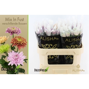 CHR G Mixed in Box