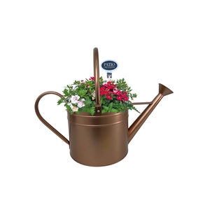 Arr.   Perkplanten H%