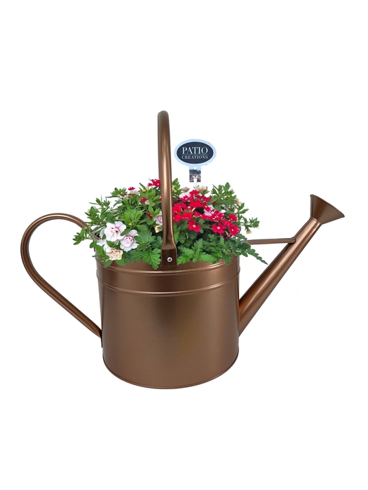 <h4>Arr.   Perkplanten H%</h4>