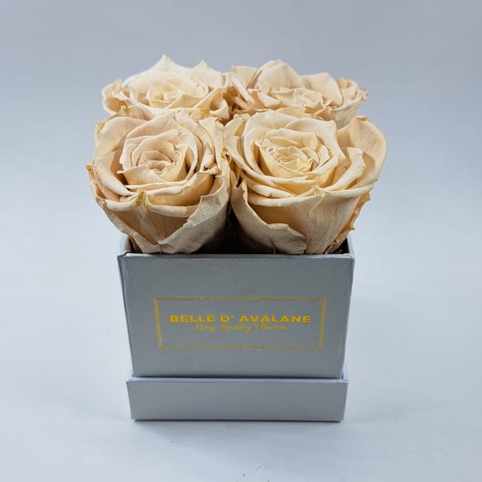 <h4>Box vk 10cm wit-champagne</h4>