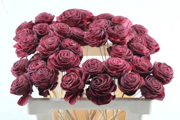 <h4>Droog Roos Rood 6cm</h4>