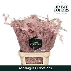 Aspa Lang Getopt Soft Pink