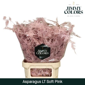 Aspa lang getopt Soft pink