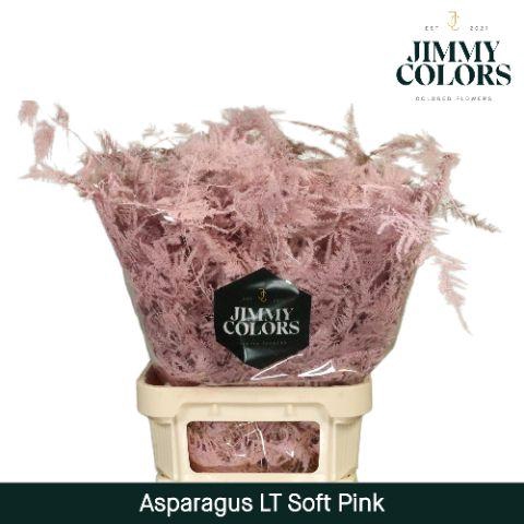 <h4>Aspa lang getopt Soft pink</h4>