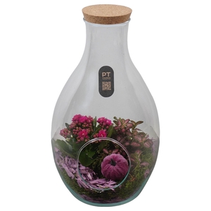 Arr.   Planten H%