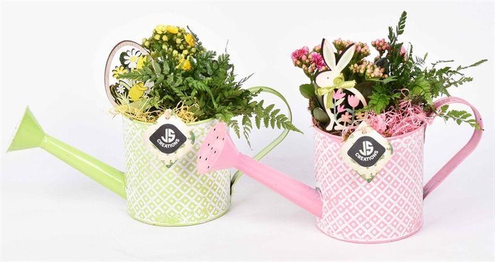 <h4>Zink gieter groen/roze 12cm</h4>