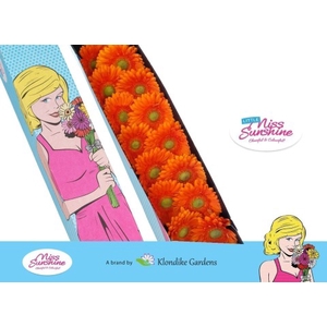 Germini Henry Water x40