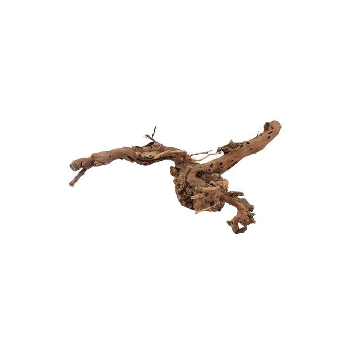 <h4>Branch Grape 2 Arm L75</h4>