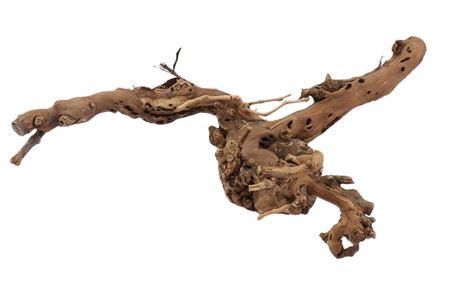 Branch Grape 2 Arm L75