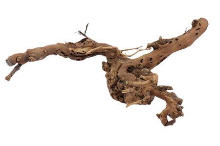 Branch Grape 2 Arm L75