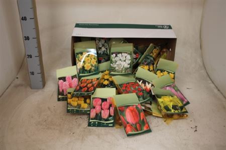 <h4>Bloembol Ov Springmix</h4>