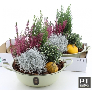 ARR TUINPLANTEN