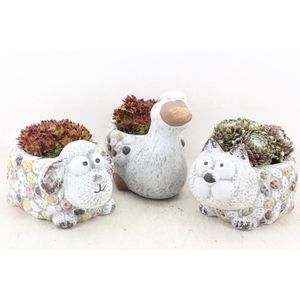 arr4 Semp PL - Keramiek dierenmix 338/6