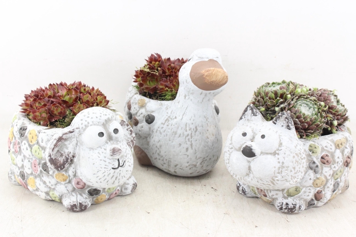 <h4>arr4 Semp PL - Keramiek dierenmix 338/6</h4>