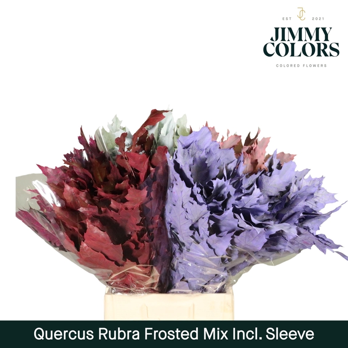 <h4>Quercus Rubra sleeve L60 Frosted Mix</h4>