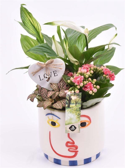 <h4>Keramiek face pot 14cm</h4>