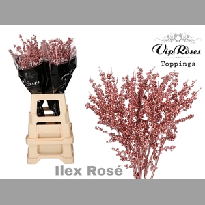 ILEX METALLIC ROSÉ 80 cm