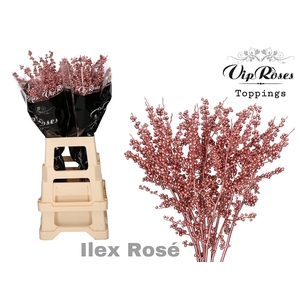 ILEX METALLIC ROSÉ 60 cm