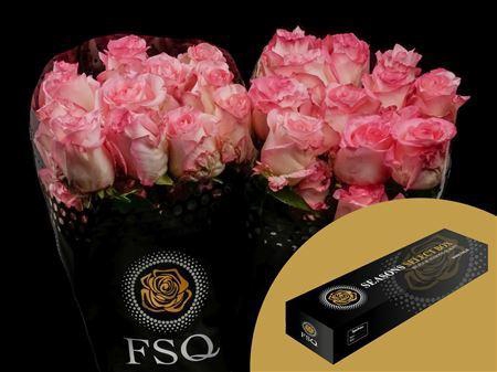 <h4>R Gr Boulevard Box</h4>