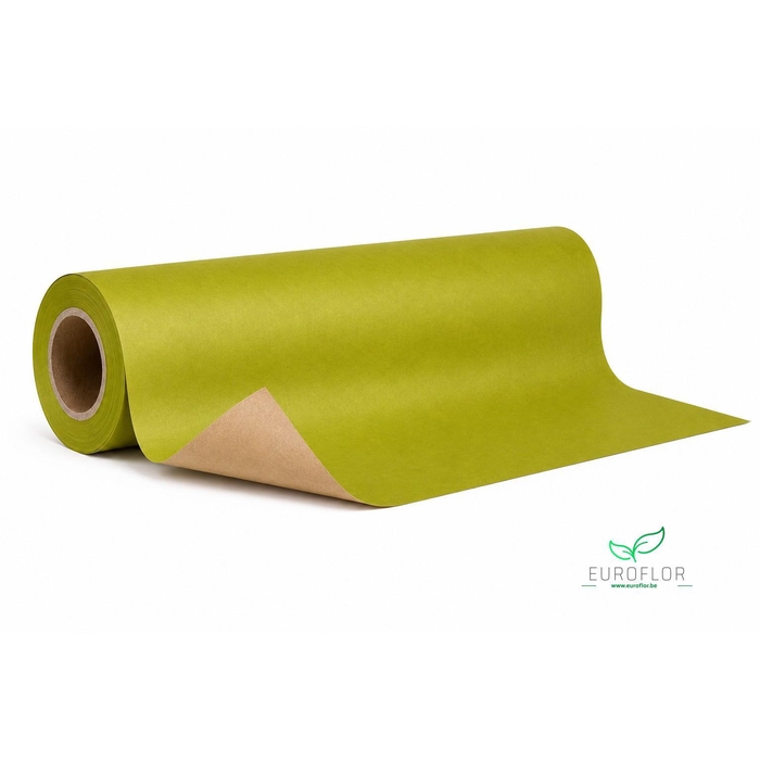 <h4>KRAFTPAPIER 10KG 50CM 50GR OLIVE GREEN</h4>
