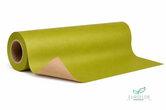 KRAFTPAPIER 10KG 50CM 50GR OLIVE GREEN