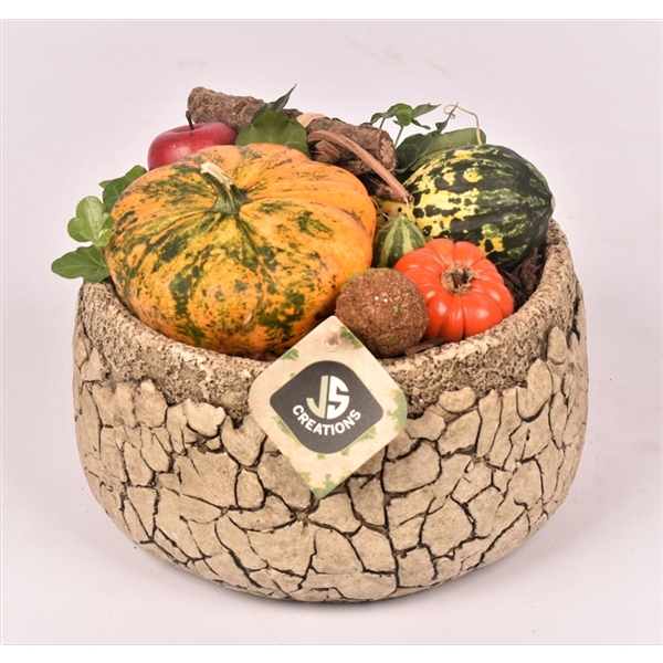 <h4>Arrangementen Sierfruit</h4>