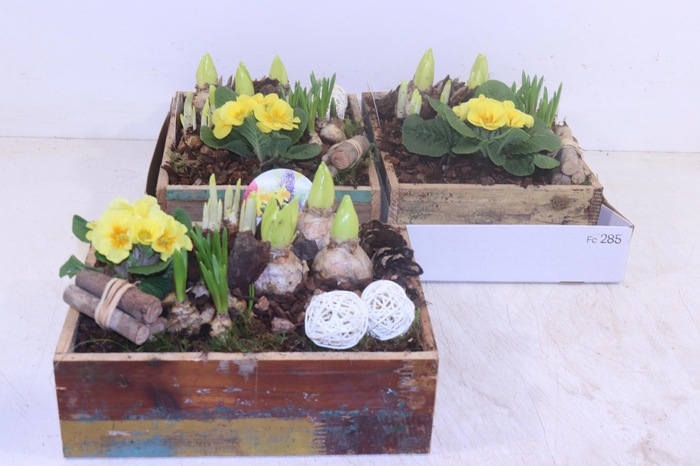 <h4>ARR TUINPLANTEN</h4>