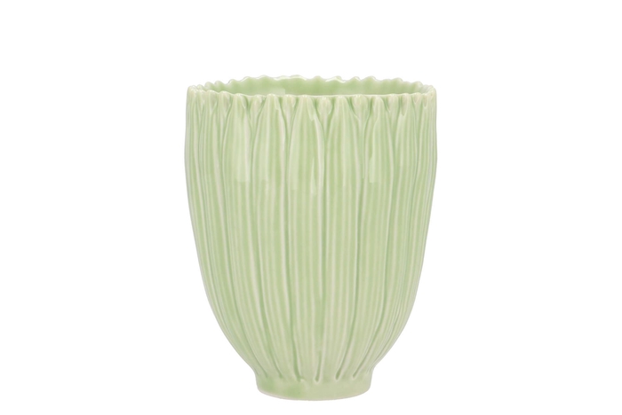 Bloom Daisy Dreamy Green Cup 9x9x11cm Nm