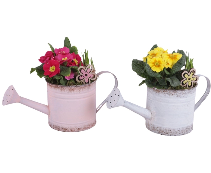 <h4>Early Spring Arr. Outdoor Zinc WateringCan Vintage Ø36cm 2PP</h4>