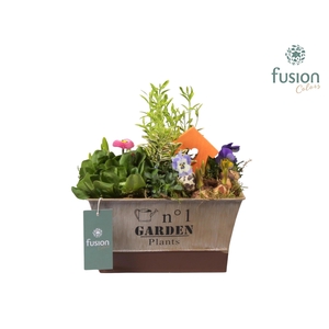 Pasen zinken pot vierkant met Tuinplanten Arrangem
