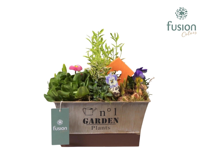 <h4>Pasen zinken pot vierkant met Tuinplanten Arrangem</h4>