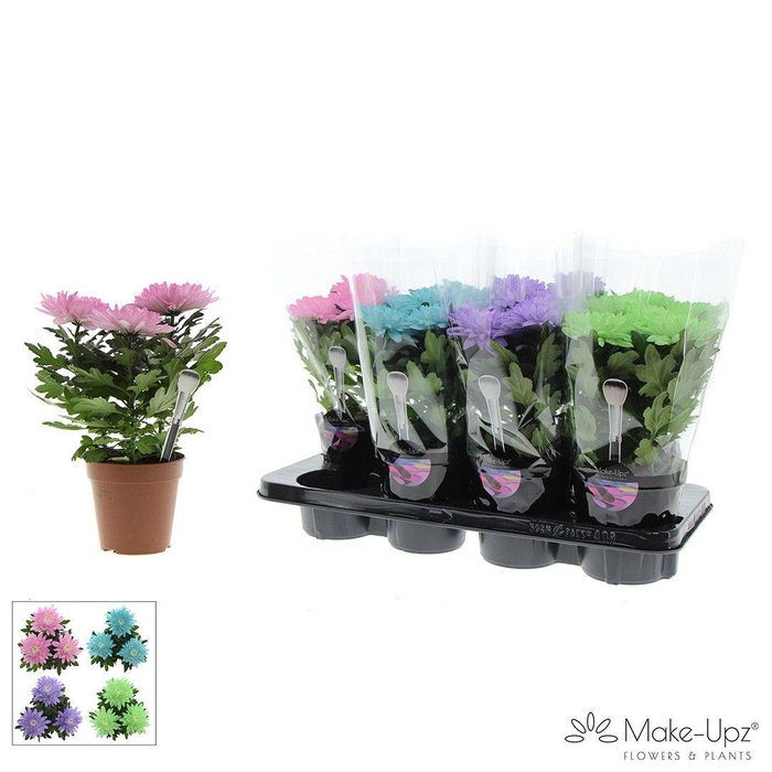 <h4>M-Upz Chrysanne® Zembla Next White Make-Upz® Uno Mix 1</h4>