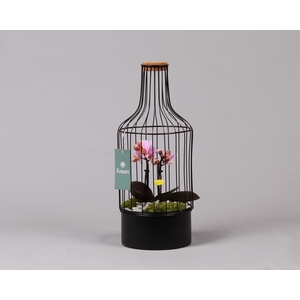 Metalen fles met kurk zwart small met Phalaenopsis