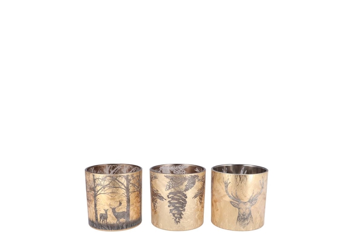 <h4>Ruby Majestic Gold T-light Ass 7x8cm</h4>