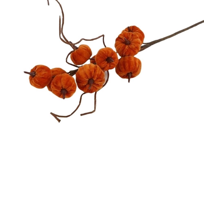 <h4>Herfst Pompoen op stam 70cm</h4>