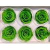Ro Pres Classic Green Lime
