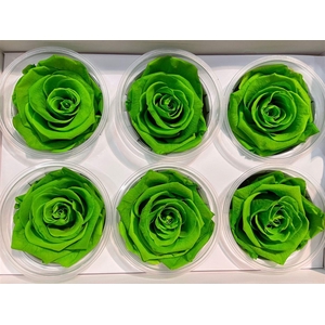 Ro Pres Classic Green Lime