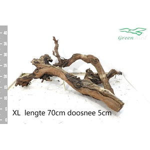 Druiven stronk XXL 70cm lang