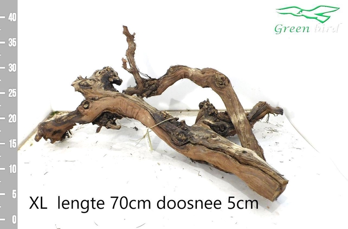 <h4>Druiven stronk XXL 70cm lang</h4>