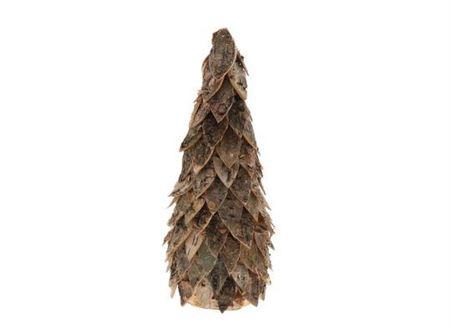 <h4>Tree Brent Birch Bark L18w18h40</h4>
