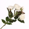 Rosa Spray Cream FL440242CRM