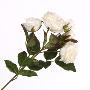 Rosa Spray Cream FL440242CRM