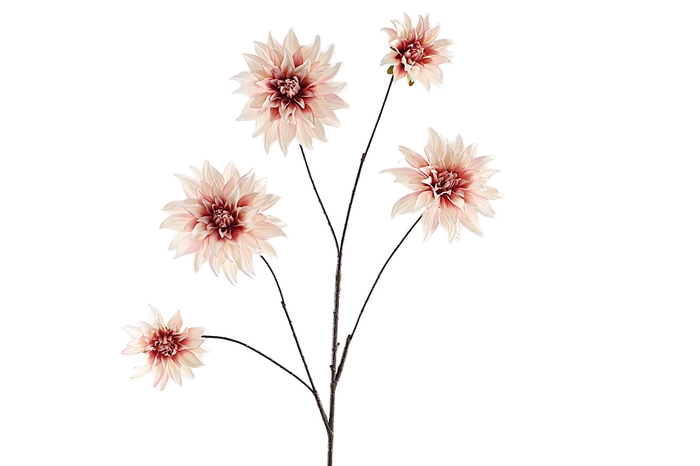 <h4>Dahlia Spray Creme Pink</h4>