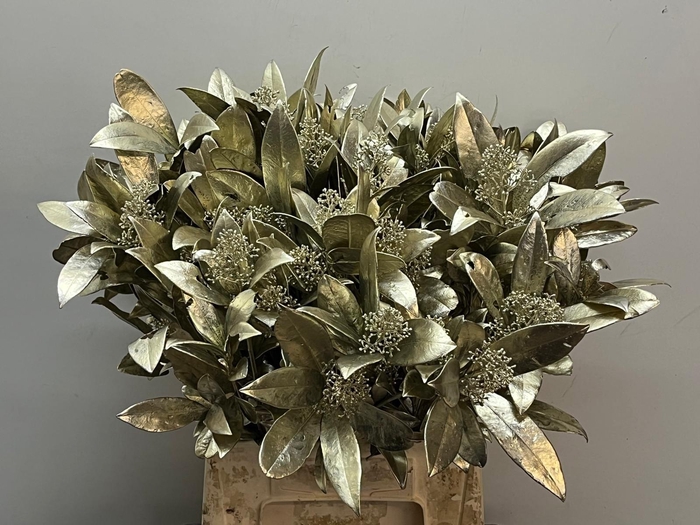 <h4>SKIM OV BS KLB H%</h4>