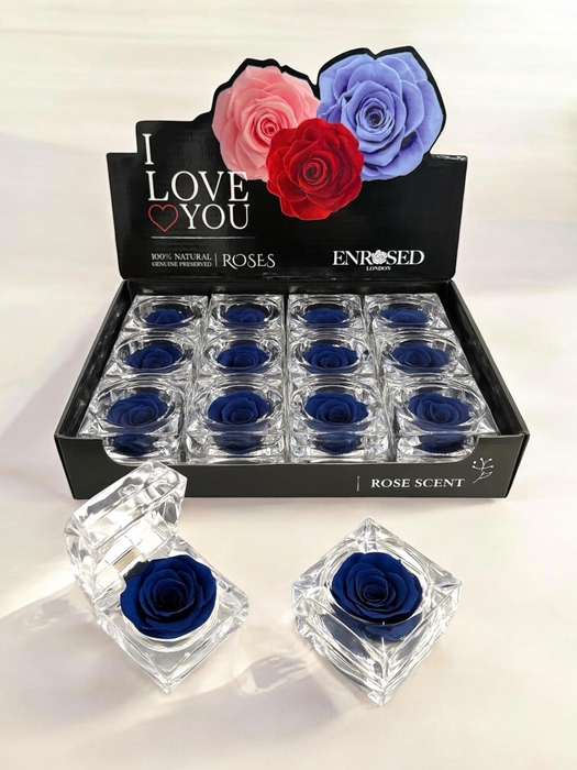 <h4>HUIS EN TUINDECO H%</h4>