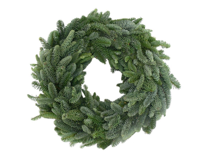 <h4>Krans Nobilis Rond 60cm</h4>